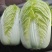 黄心大白菜，一手货源，全国发货，量大从优
