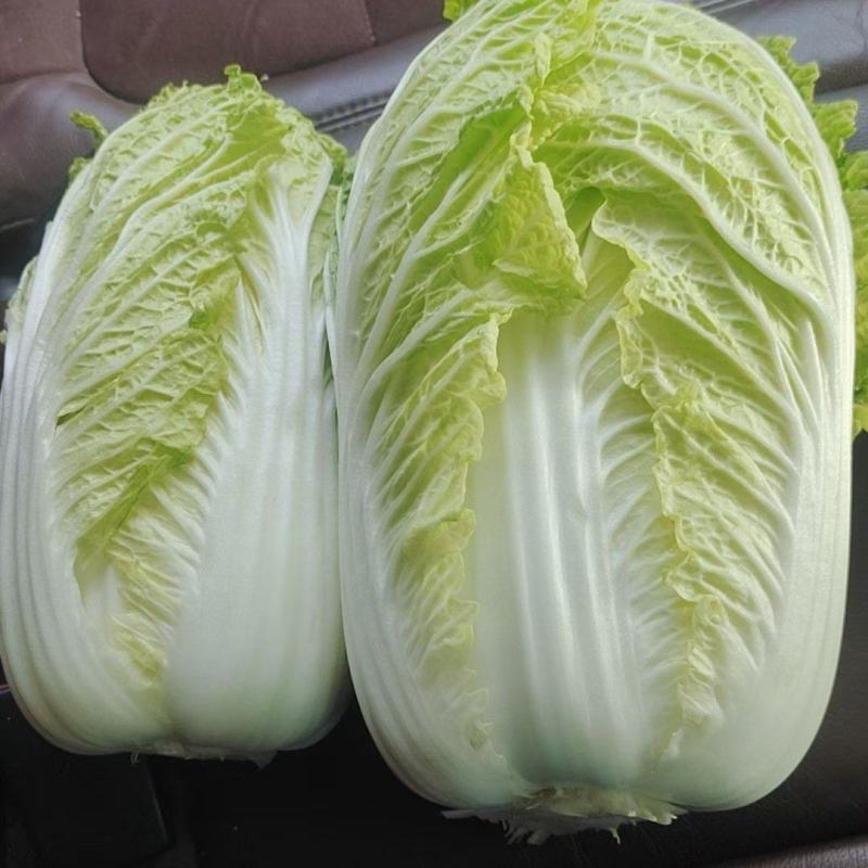 黄心大白菜，一手货源，全国发货，量大从优