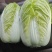 黄心大白菜，一手货源，全国发货，量大从优
