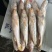 黄三牙小黄鱼