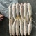 黄三牙小黄鱼