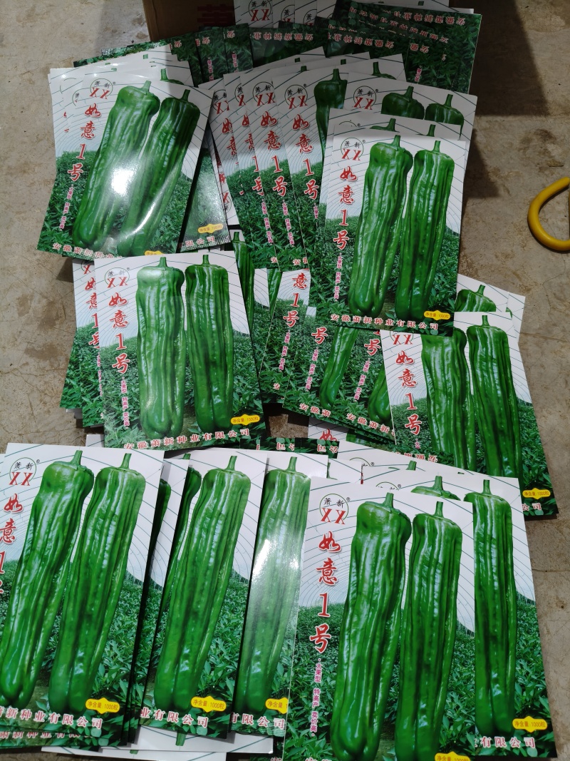 辣椒苗薄皮辣椒苗苏椒五号免费提供技术高抗病螺丝椒苗线椒苗