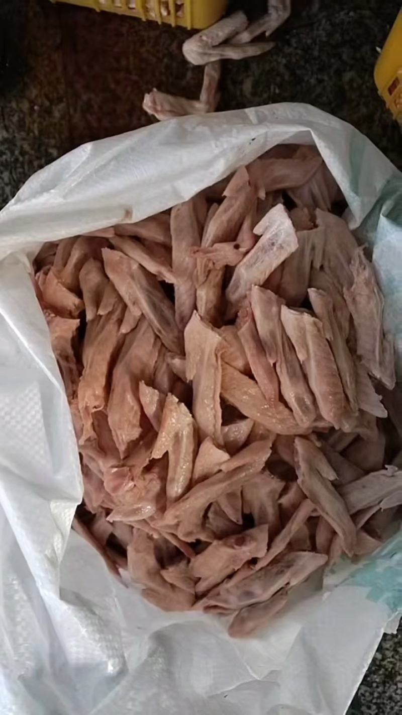 鸡翅尖