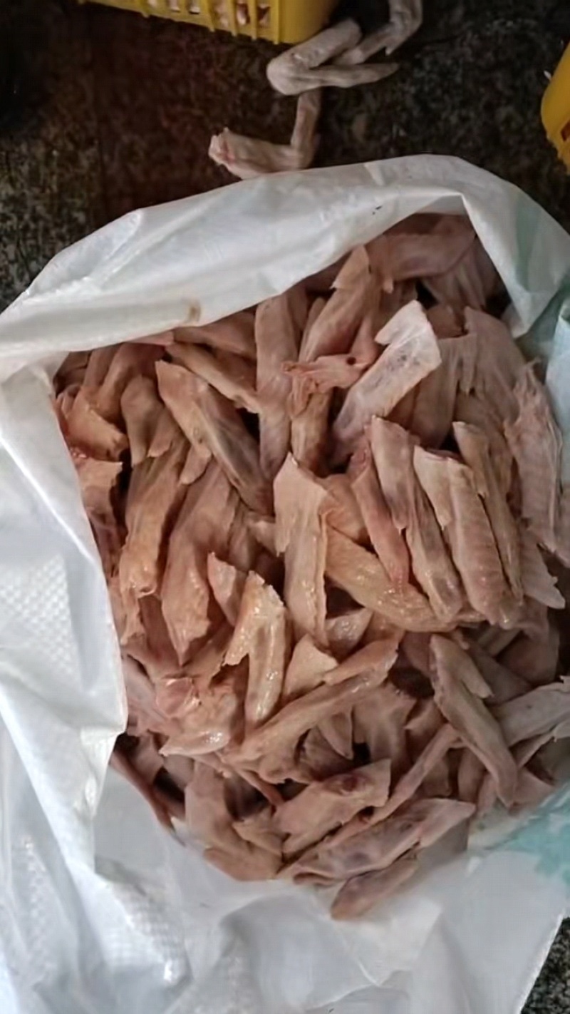 鸡翅尖