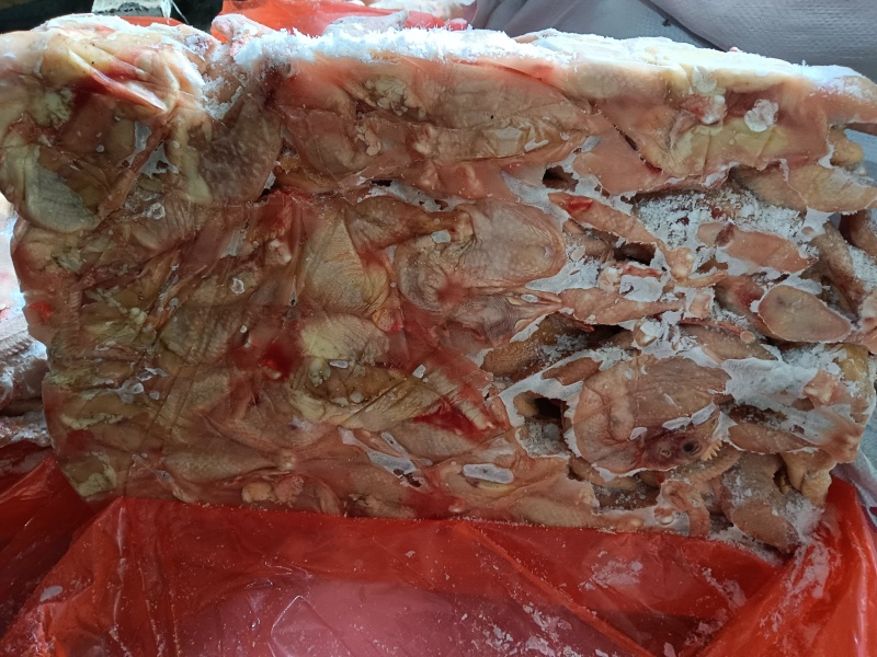 出售二级西装鸡，常年有货，具体产品价格具体沟通