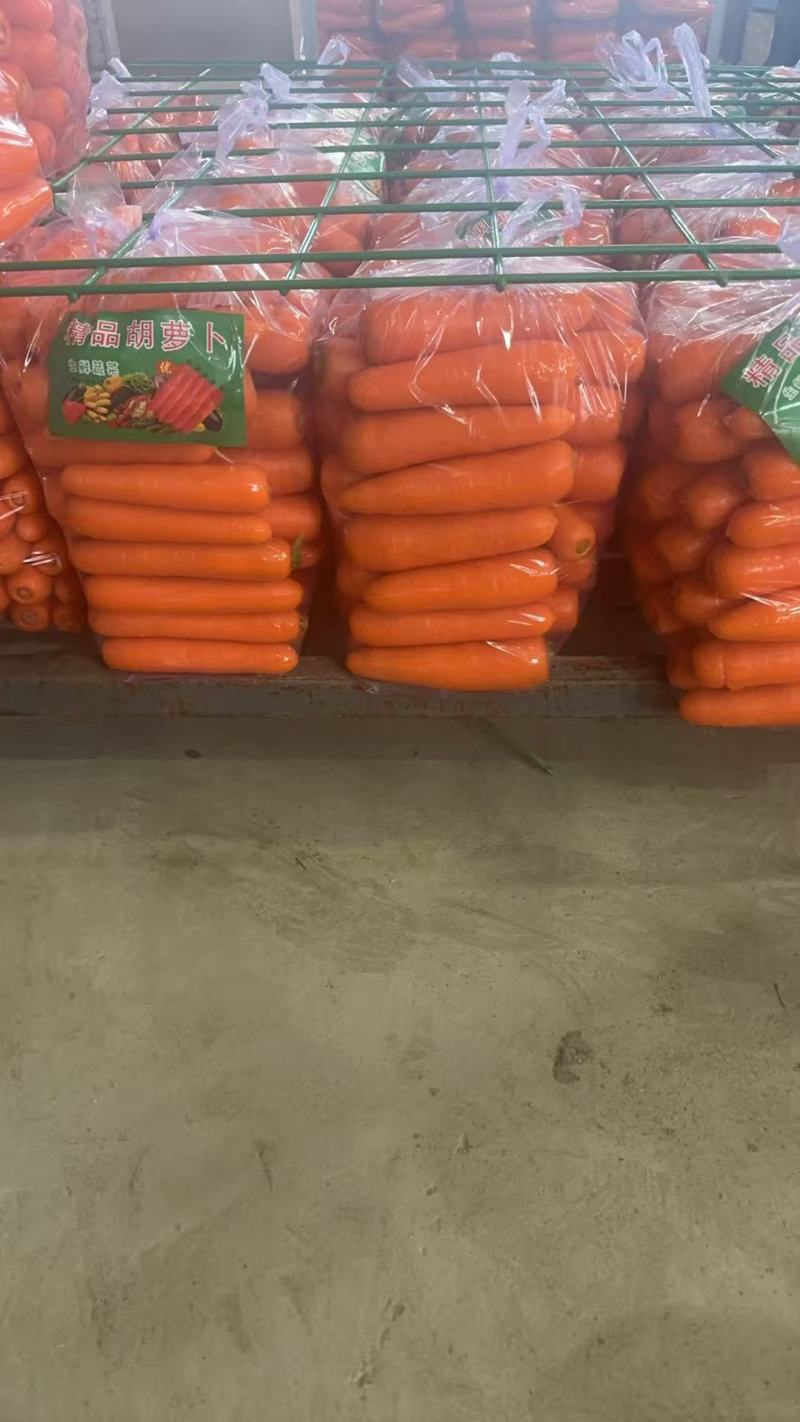 精品红萝卜