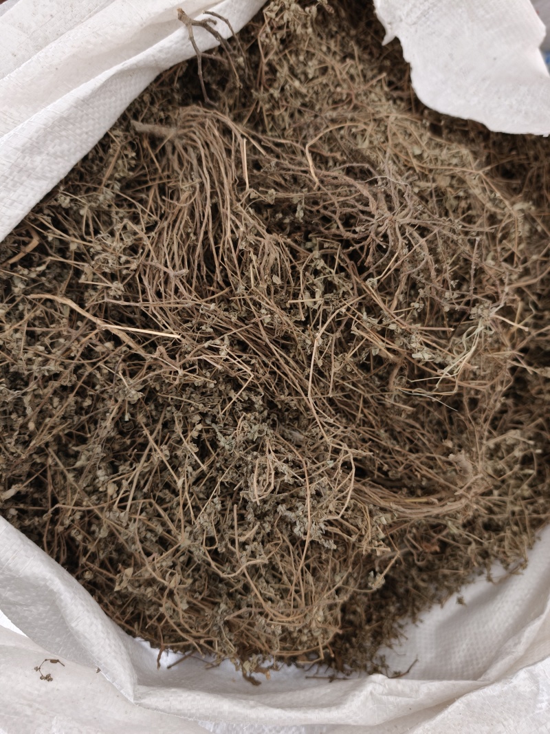 地锦草，奶浆草新货
