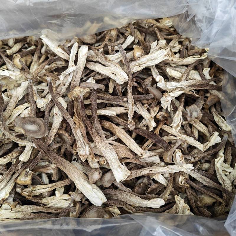 精品鹿茸菇干货批发10斤一箱无干燥剂新货煲汤食材