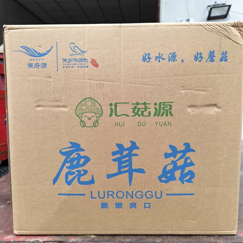 精品鹿茸菇干货批发10斤一箱无干燥剂新货煲汤食材