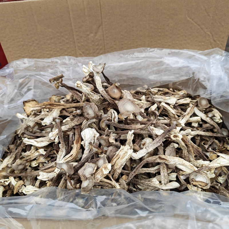 精品鹿茸菇干货批发10斤一箱无干燥剂新货煲汤食材