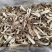 精品鹿茸菇干货批发10斤一箱无干燥剂新货煲汤食材