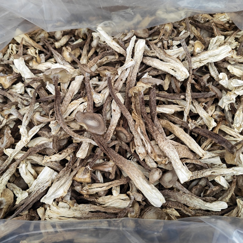 精品鹿茸菇干货批发10斤一箱无干燥剂新货煲汤食材