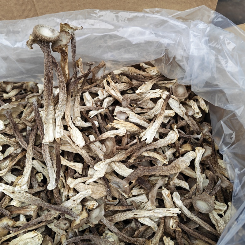 精品鹿茸菇干货批发10斤一箱无干燥剂新货煲汤食材