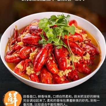 2盒麻辣小龙虾十三香蒜泥龙虾加热即食