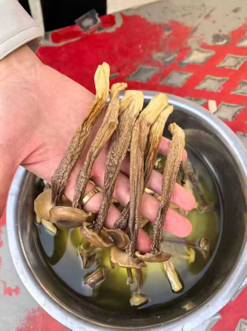 精品鹿茸菇干货批发10斤一箱无干燥剂新货煲汤食材