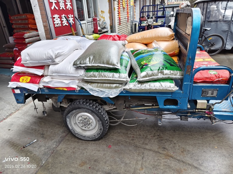 绿扁豆，做凉粉用扁豆！