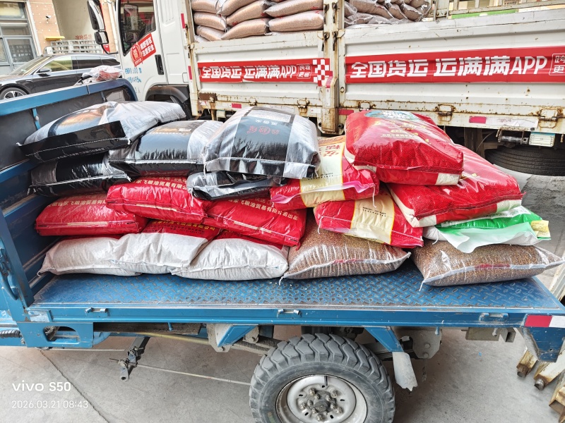 绿扁豆，做凉粉用扁豆！