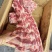 满肉肩胛骨