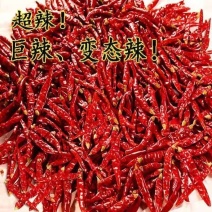 干辣椒个辣椒
