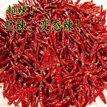 干辣椒个辣椒