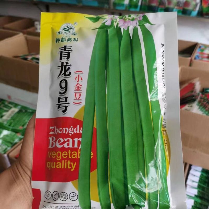 四季豆种子青龙9号小金豆种子中早熟四季豆豆角种籽架豆种子