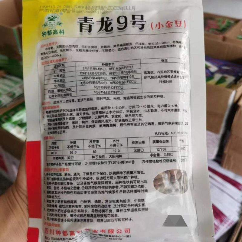 四季豆种子青龙9号小金豆种子中早熟四季豆豆角种籽架豆种子