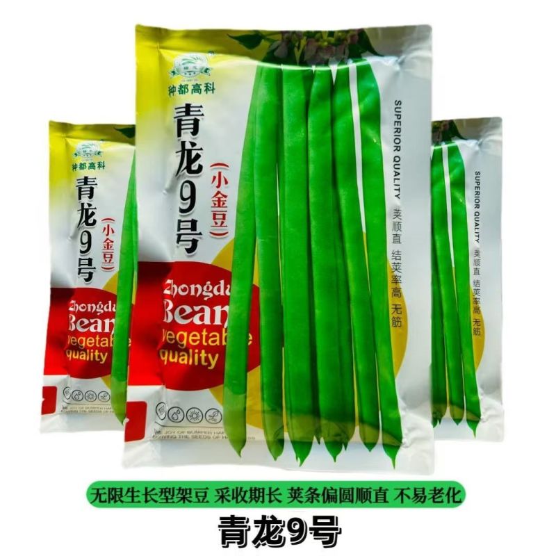 四季豆种子青龙9号小金豆种子中早熟四季豆豆角种籽架豆种子