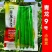 四季豆种子青龙9号小金豆种子中早熟四季豆豆角种籽架豆种子