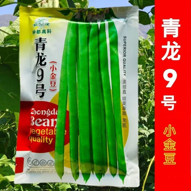 四季豆种子青龙9号小金豆种子中早熟四季豆豆角种籽架豆种子
