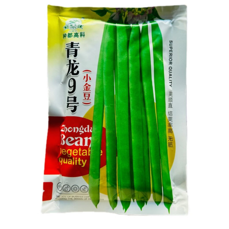 四季豆种子青龙9号小金豆种子中早熟四季豆豆角种籽架豆种子