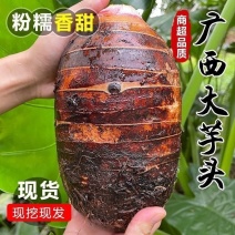 冻芋头荔浦芋头，冻品，净菜