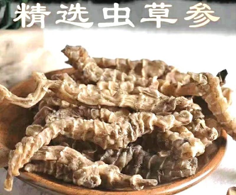云南虫草参地参竹节参顶天柱炖肉煲汤食材干货包邮