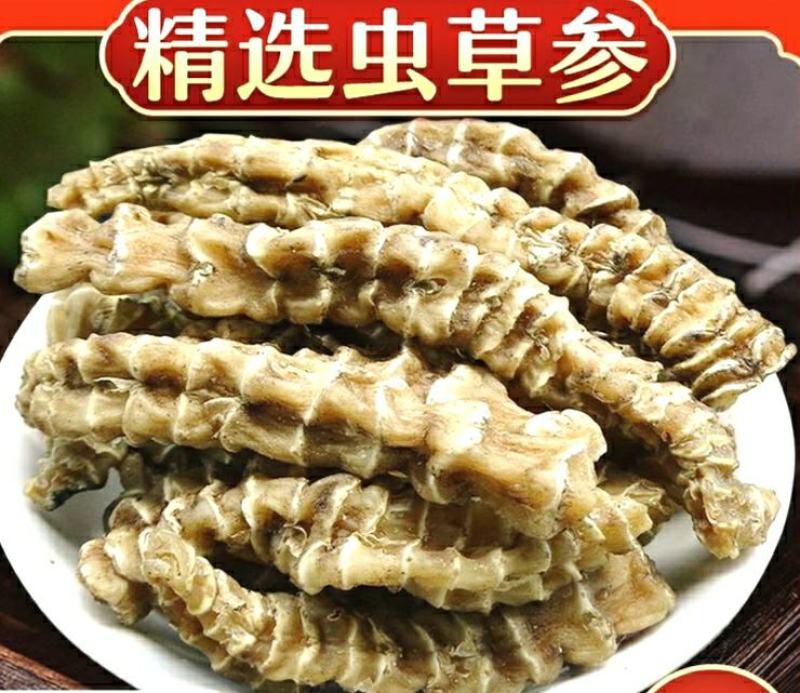 云南虫草参地参竹节参顶天柱炖肉煲汤食材干货包邮