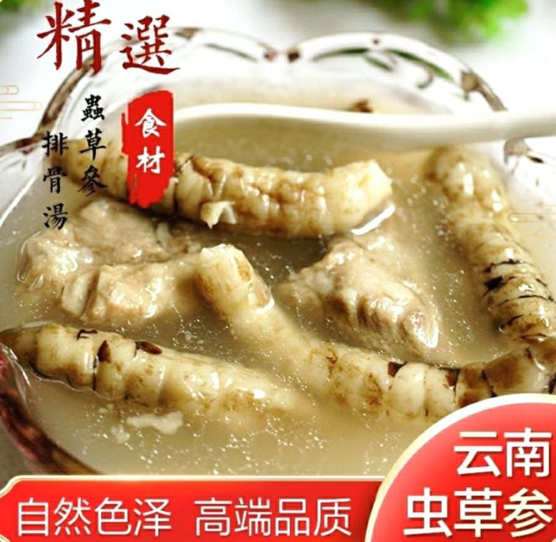 云南虫草参地参竹节参顶天柱炖肉煲汤食材干货包邮