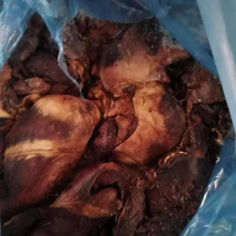 存货饲料猪心十吨