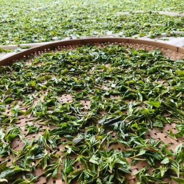 红茶