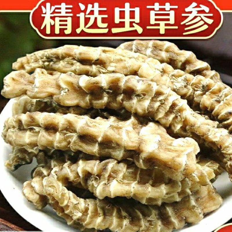 云南虫草参地参竹节参质优味浓炖肉煲汤食材包邮