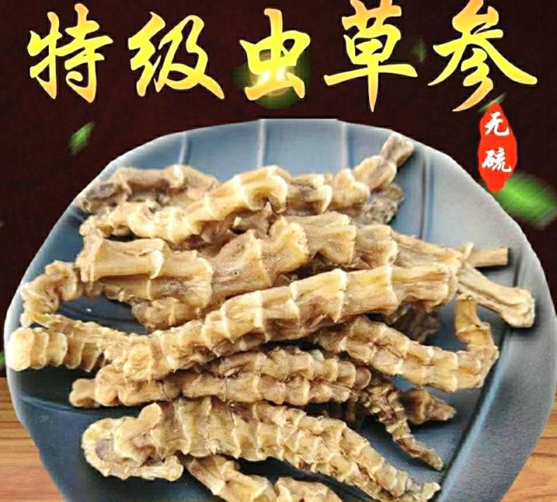 云南虫草参地参竹节参质优味浓炖肉煲汤食材包邮