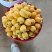 产地枇杷