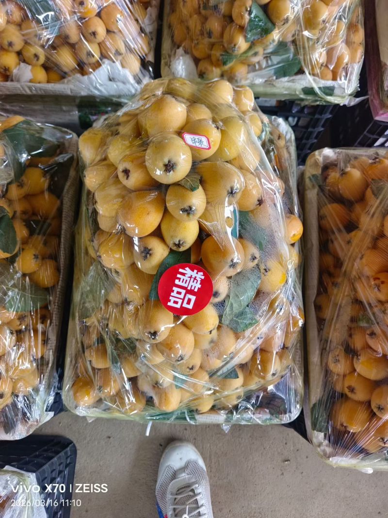 产地枇杷