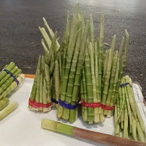 金竹笋产地直销量大质优价格优惠欢迎各大老板采购