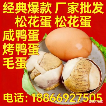 厂家直销咸鸭蛋烤鸭蛋松花蛋五香活珠子各种天数毛蛋