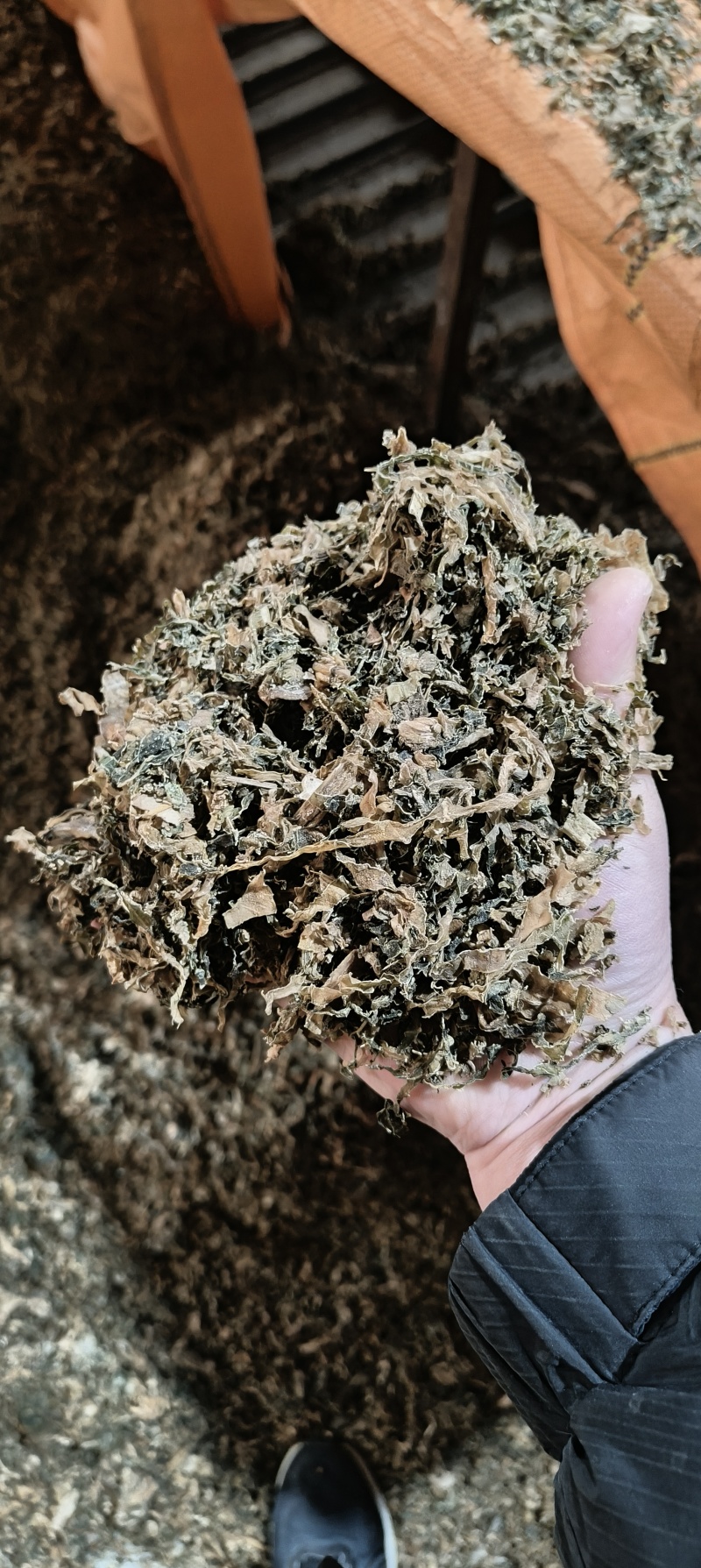 干菜梅干菜