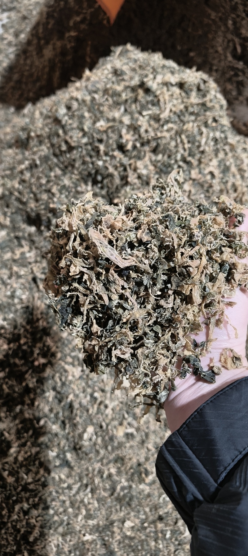 干菜梅干菜