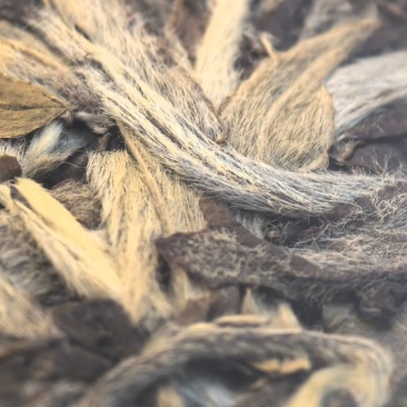 2019年福鼎白茶白牡丹饼茶每饼300克