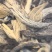 2019年福鼎白茶白牡丹饼茶每饼300克