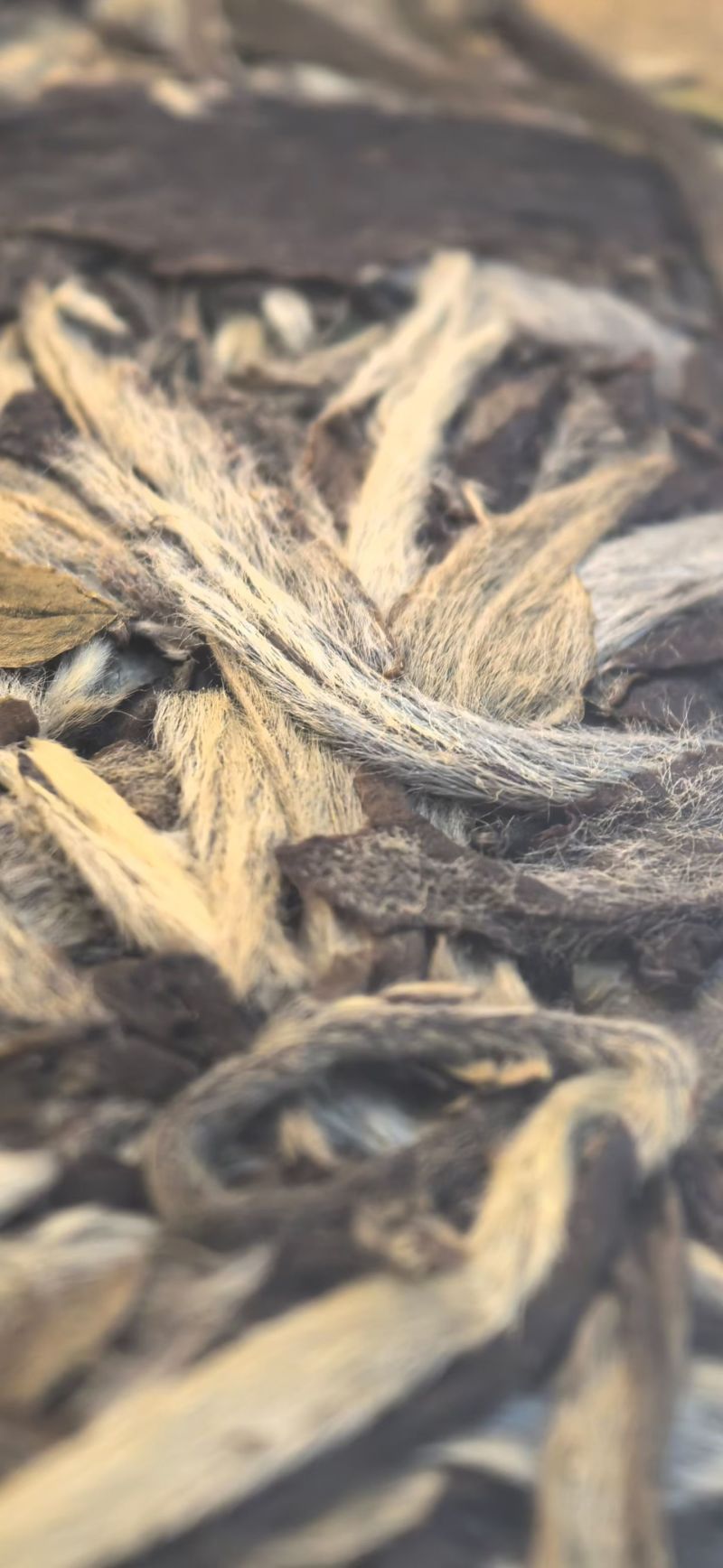2019年福鼎白茶白牡丹饼茶每饼300克