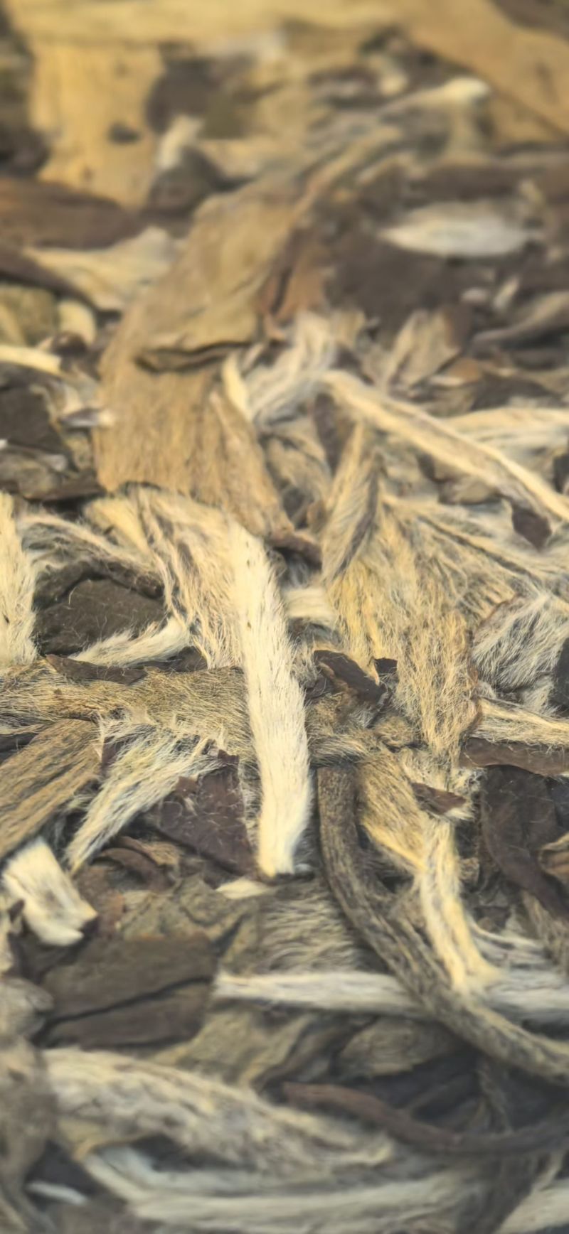 2019年福鼎白茶白牡丹饼茶每饼300克