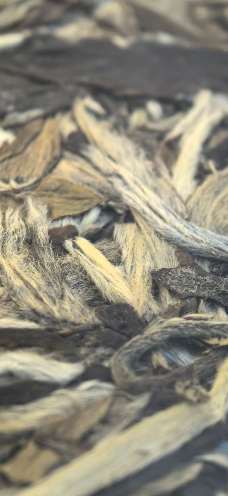 2019年福鼎白茶白牡丹饼茶每饼300克