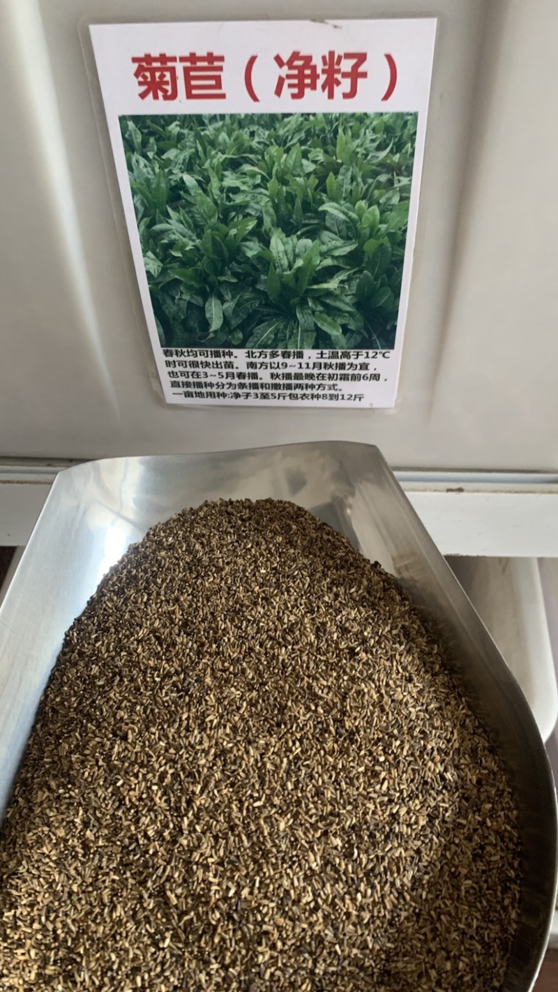 多年生高产牧草，叶片宽大肥厚、鲜嫩多汁，适口性佳鸡鸭爱吃